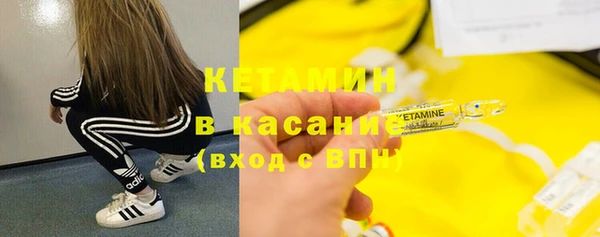 крисы Козельск