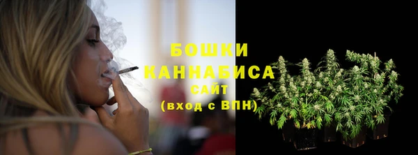 spice Касимов