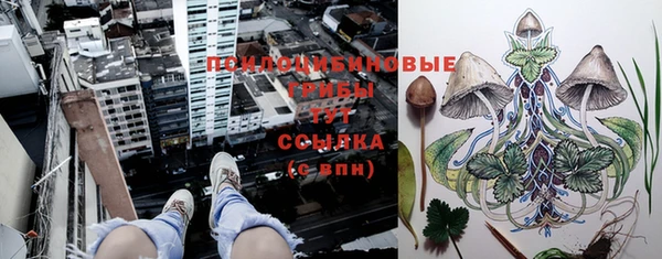 стафф Киреевск