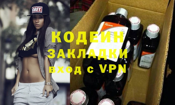 крисы Козельск