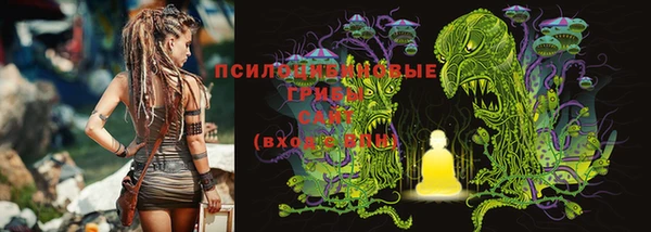 шишки Аша